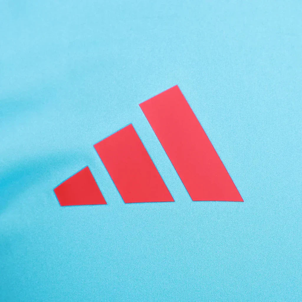 Camisa Flamengo CRF Treino 25/26 - Azul
