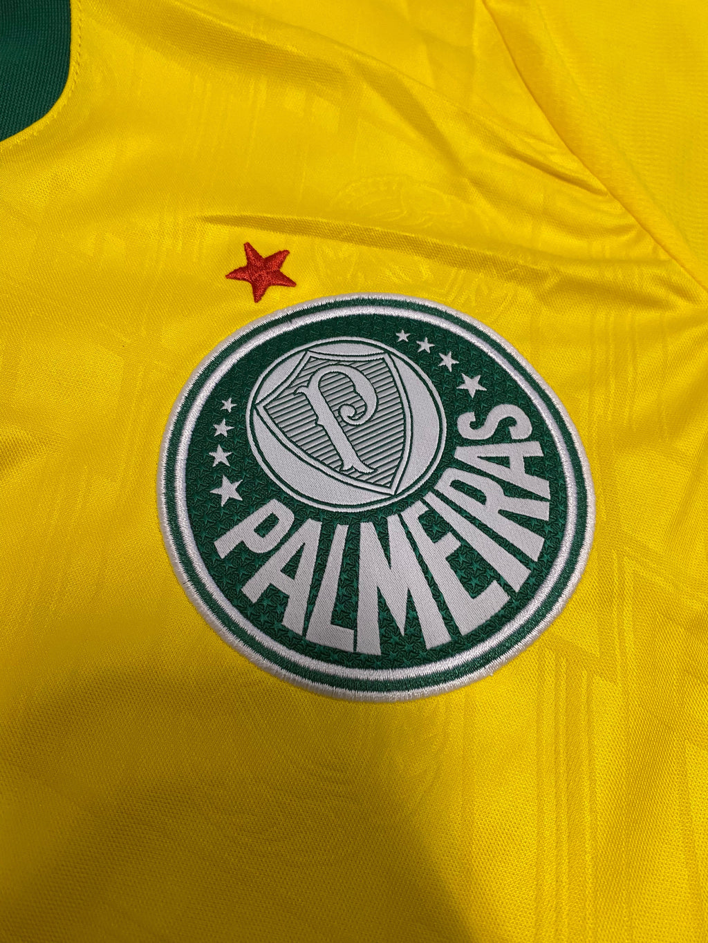 Camisa Palmeiras III Verde e amarela 25/26