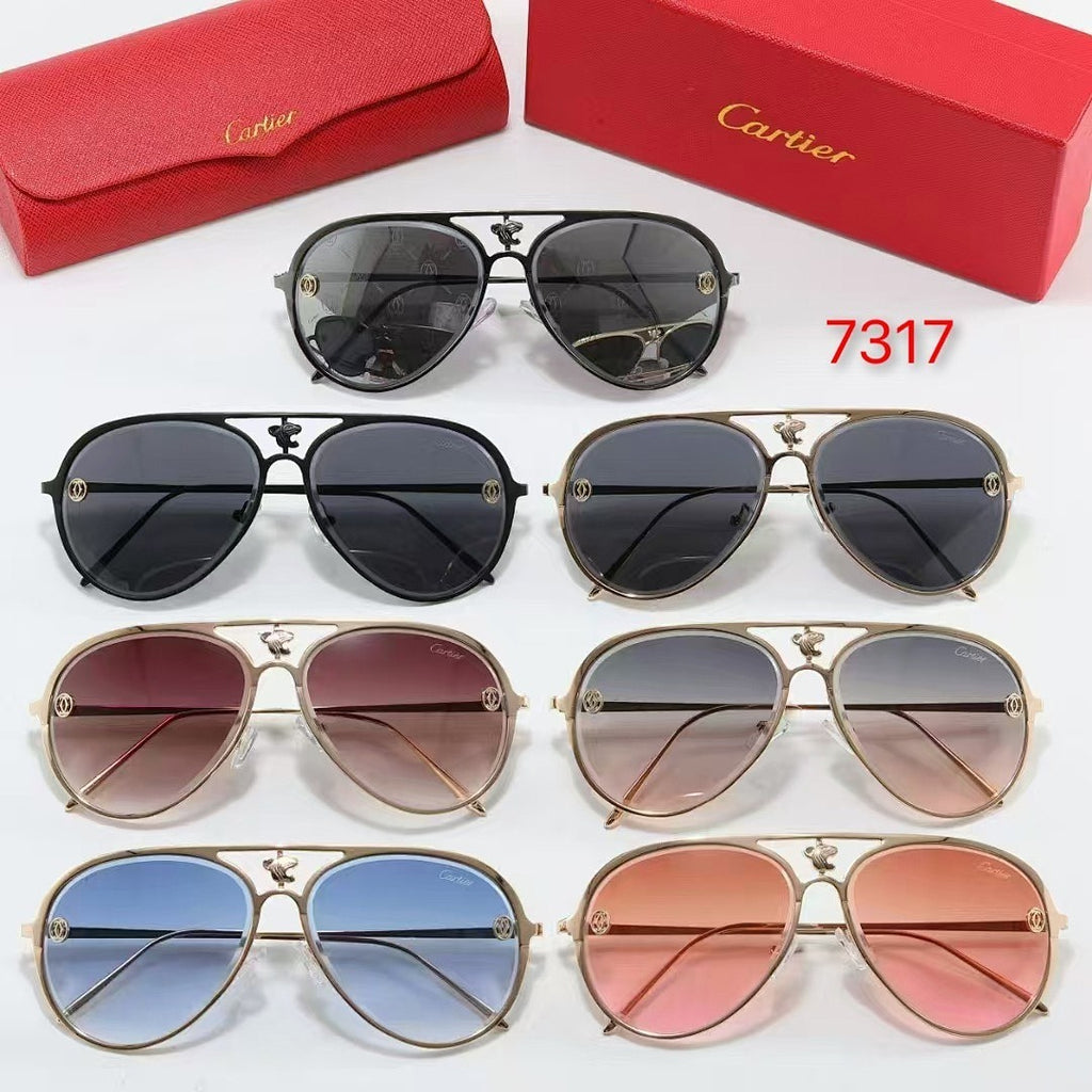 7 colors New hot HD lenses Full Frame design sunglasses 7317
